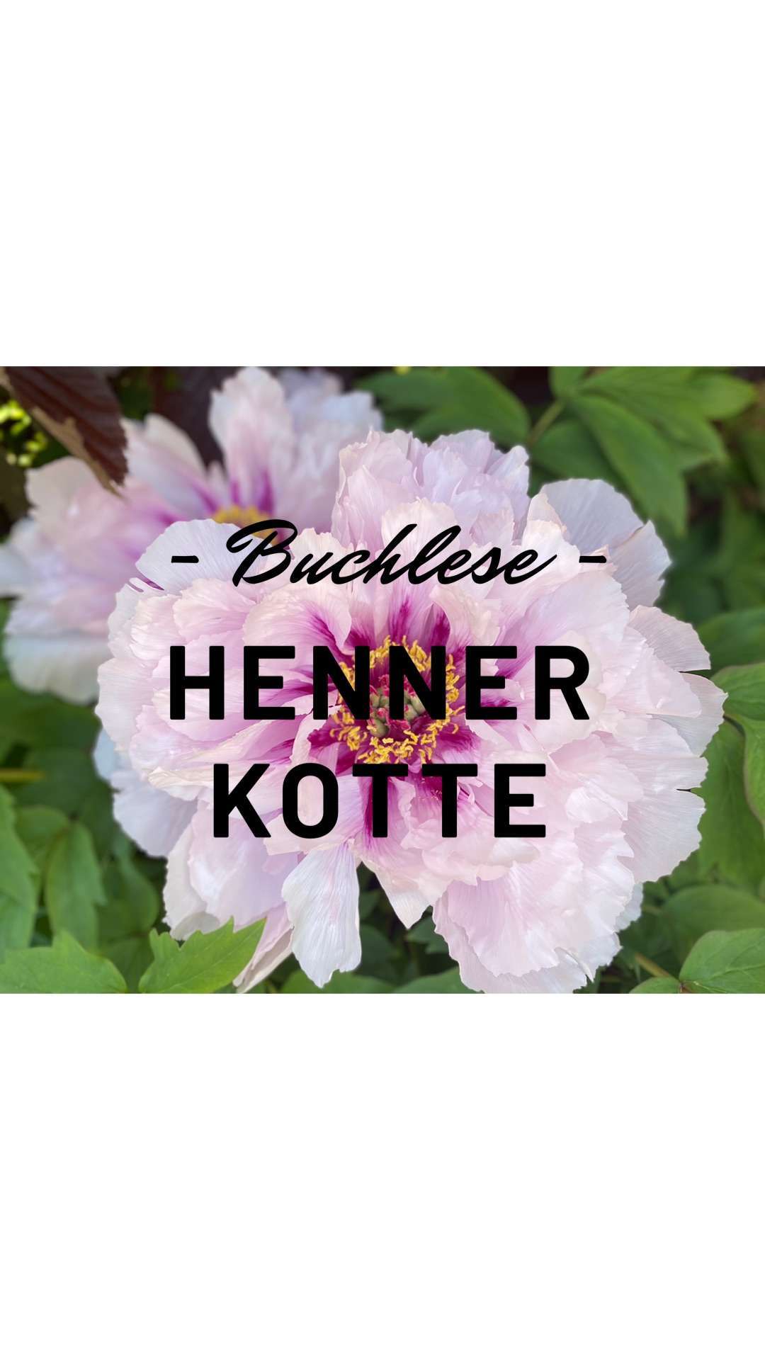 Buchlese - Henner Kotte - Gärtnerei Pause 